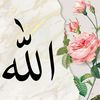 ryanahmed14