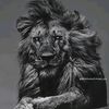 user8761167581607