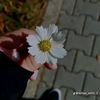 user9169018298715