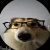 zeshkanja117