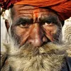 indian_raptor33