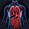 Anatomy Doctor