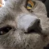 itzzzjayden2
