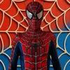 spidermancosplayfr