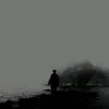 t_2vm