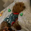 lilylou_cutepup