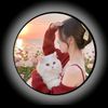 user503265605