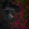 taqwa.al.kouri