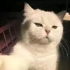 minhduy3082
