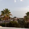 lucsuiii31
