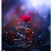 wahab34841
