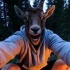 Goatier 🐐