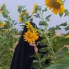 sun.flower.122