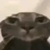 mo_4287