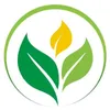 remedii.naturiste32
