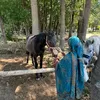 nadia____ch6
