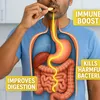 Digest Smart