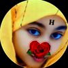 h251815