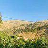 hidayatali189