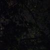 user76073346008440