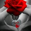 ahmadmsri6