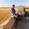 asef.hasani2