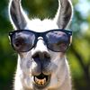 FunkyAnimals_3D
