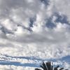 ali_98392