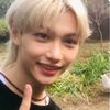bry_sulli
