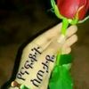 mhdor.mohder