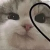 ahesoalara