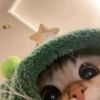 tire0misu_