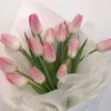 fati__lina