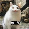 user1867814275433