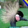 user6700148173072