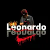 leonardo.vitor14