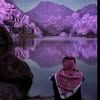 dari.hamed
