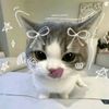 ayumi_1234567890