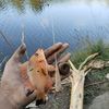 pemancing768