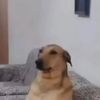 axel.aidan95