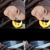 nazwapptngn