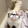 anakinisangatdongo_