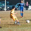 davilucca_041213
