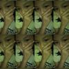 hafizasukaroger25