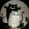 www.maisha0