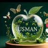 usmansandhu310