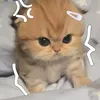 iu._.iu1