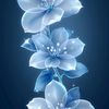 amandapeters90901