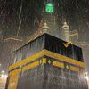 raziq27287