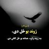 billal.safi7